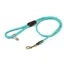 Shires Digby and Fox Rolled Leather Dog Lead - Teal